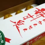 新甘泉 梨